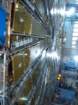 cern16_small.jpg